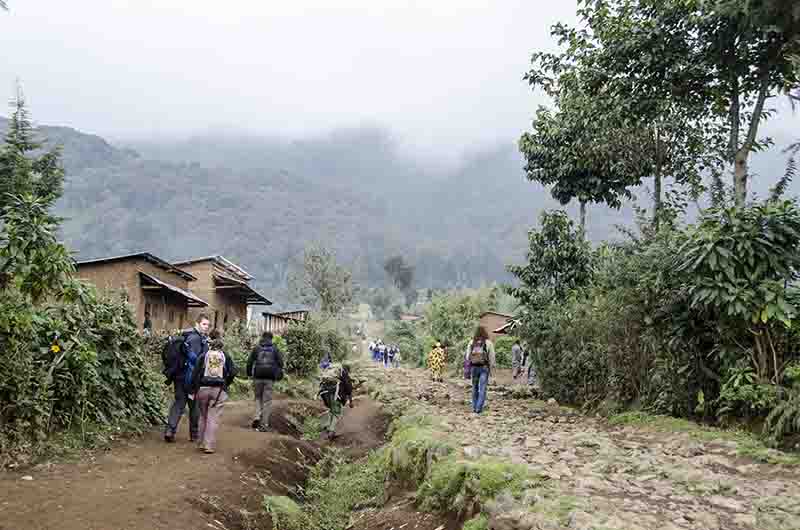 15 - Ruanda - parque nacional de los volcanes - paisaje